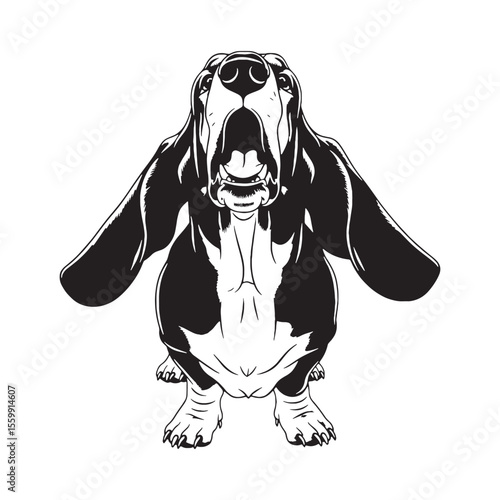 A beautiful Basset Hound digital black graphic, a high-quality asset for creations - Basset Hound silhouette - Basset Hound Vector - Silhouette of Basset Hound - dog silhouette

