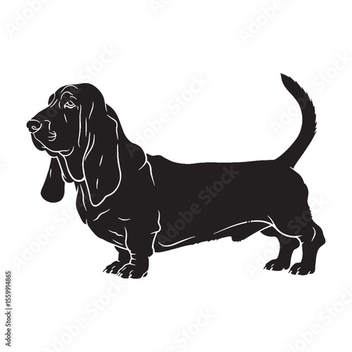 A proud Basset Hound digital black image, an elegant graphic resource for projects - Basset Hound silhouette - Basset Hound Vector - Silhouette of Basset Hound - dog silhouette

