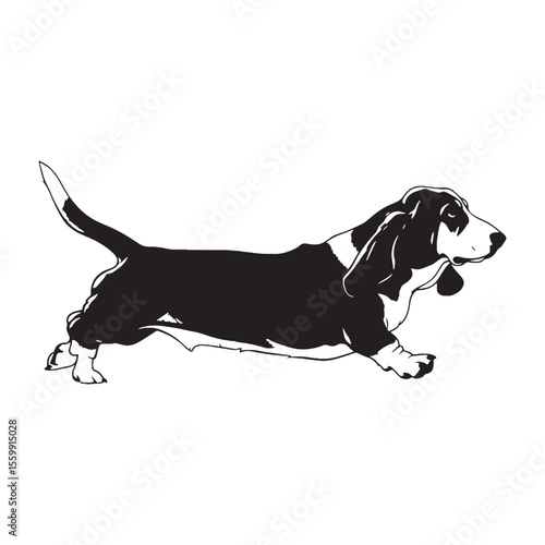Displaying a recognizable Basset Hound digital black vector, embodying its unique presence - Basset Hound silhouette - Basset Hound Vector - Silhouette of Basset Hound - dog vector


