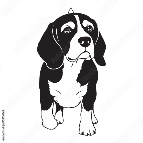 An iconic Beagle digital black representation, clearly identifying the beloved breed - Beagle silhouette - Beagle Vector - Silhouette of Beagle - dog vector

