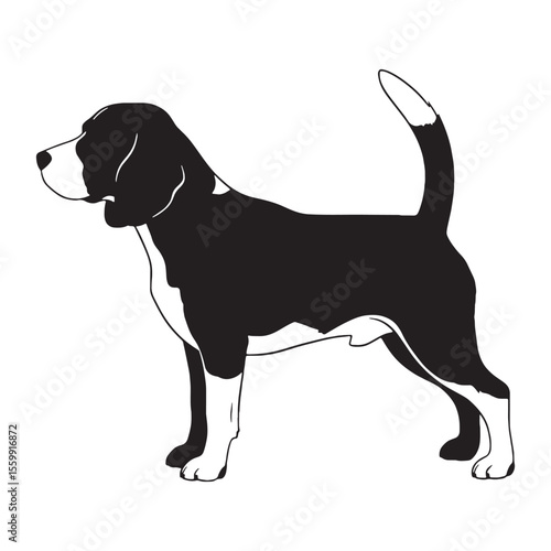 A beautiful Beagle digital black graphic, a high-quality asset for creations - Beagle silhouette - Beagle Vector - Silhouette of Beagle - dog silhouette

