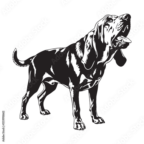 A beautiful Bloodhound digital graphic, a high-quality asset for creations - Bloodhound silhouette - Bloodhound Vector - Silhouette of Bloodhound - dog silhouette

