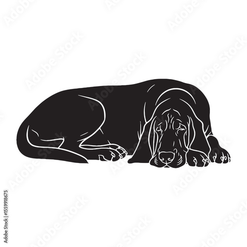 Presenting a standard Bloodhound digital illustration, easy to use and adapt - Bloodhound silhouette - Bloodhound Vector - Silhouette of Bloodhound - dog vector

