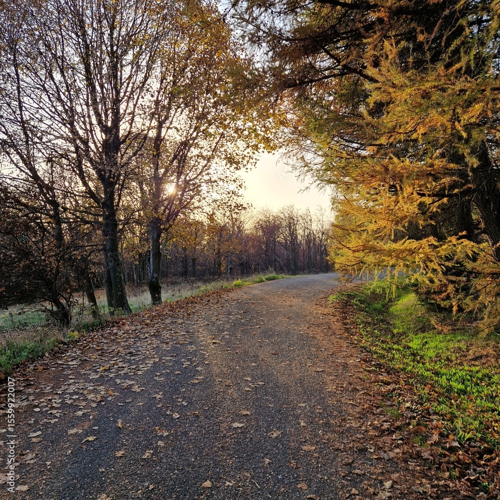 Fototapeta premium travel