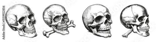 Detailed Vintage Skull Illustrations for Artistic Use and Design, vector illustration, engraving design, logo design set, black and white line, template design element