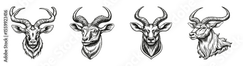 Detailed Illustrations of Gazelles and Antelopes in Unique Styles, vector illustration, engraving design, logo design set, black and white line, template design element