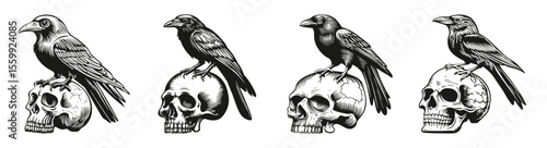 Vintage Raven Illustrations on Skulls for Dark Art, vector illustration, engraving design, logo design set, black and white line