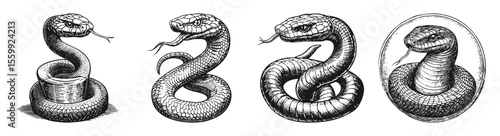 Vintage Snake Illustrations in Black and White Line Art Style, vector illustration, engraving design, logo design set, black and white line