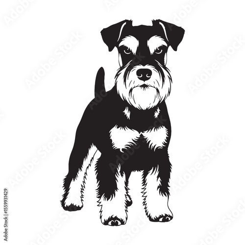 A beautiful Miniature Schnauzer graphic, a high-quality digital asset for creations - Miniature Schnauzer silhouette - Miniature Schnauzer Vector - Silhouette of Miniature Schnauzer - dog silhouette

