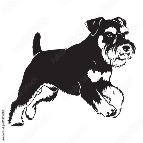 A proud Miniature Schnauzer figure image, an elegant graphic resource for projects - Miniature Schnauzer silhouette - Miniature Schnauzer Vector - Silhouette of Miniature Schnauzer - dog silhouette


