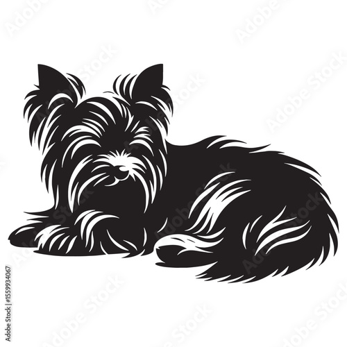 Wallpaper Mural A lively Yorkshire Terrier dog artwork, capturing the breed's spirited nature - Yorkshire Terrier silhouette - Yorkshire Terrier Vector - Silhouette of Yorkshire Terrier - dog silhouette

 Torontodigital.ca
