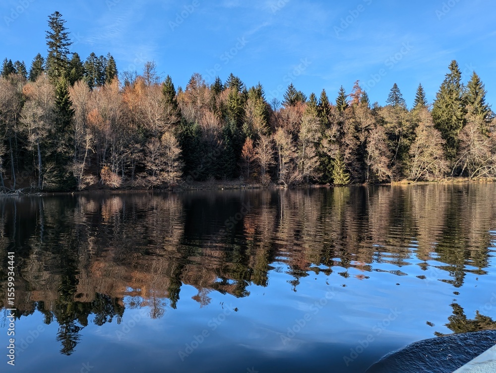 Obraz premium The Black Forest in autumn at Lake Titisee