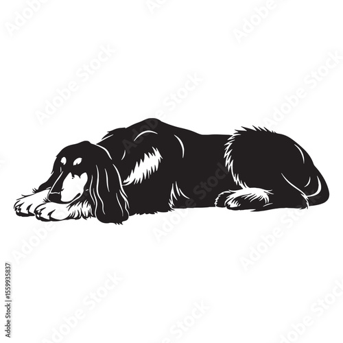 A proud Afghan Hound figure image, an elegant graphic resource for projects - Afghan Hound silhouette - Afghan Hound Vector - Silhouette of Afghan Hound - dog silhouette


