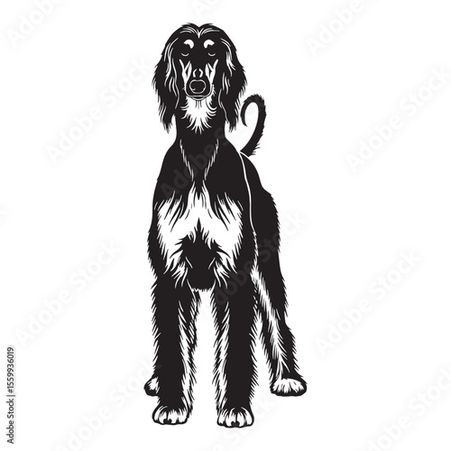 Displaying a distinctive Afghan Hound dog shape, embodying its unique presence - Afghan Hound silhouette - Afghan Hound Vector - Silhouette of Afghan Hound - dog vector

