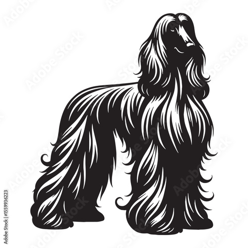 Presenting a classic Afghan Hound breed profile, with clean, sharp edges - Afghan Hound silhouette - Afghan Hound Vector - Silhouette of Afghan Hound - dog vector

