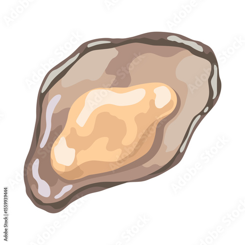 Oyster. Sea shell, cartoon icon. Ocean exotic underwater sink seashell aquatic mollusk. Tropical beach shells. Vector cartoon illustration