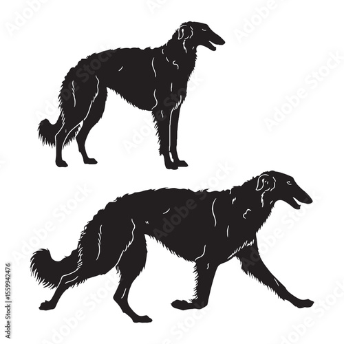 Presenting a standard Borzoi illustration, easy to use and adapt - Borzoi silhouette - Borzoi Vector - Silhouette of Borzoi - dog vector

