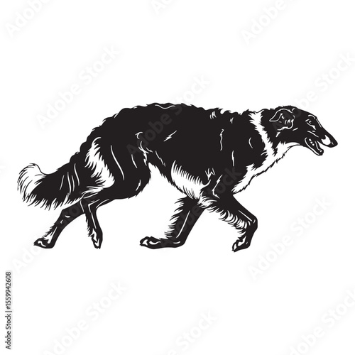A proud Borzoi figure image, an elegant graphic resource for projects - Borzoi silhouette - Borzoi Vector - Silhouette of Borzoi - dog silhouette

