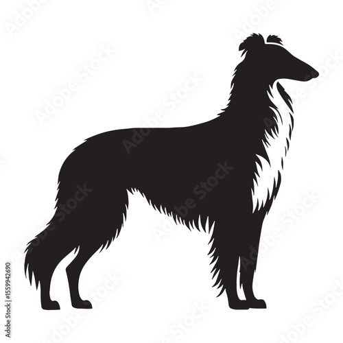 A versatile Borzoi design asset, offering a clean, modern vector - Borzoi silhouette - Borzoi Vector - Silhouette of Borzoi - dog silhouette

