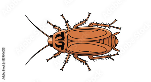 Cockroach Infestation Management Strategies Cockroach Prevention and Control Cockroach Extermination Methods and Solutions