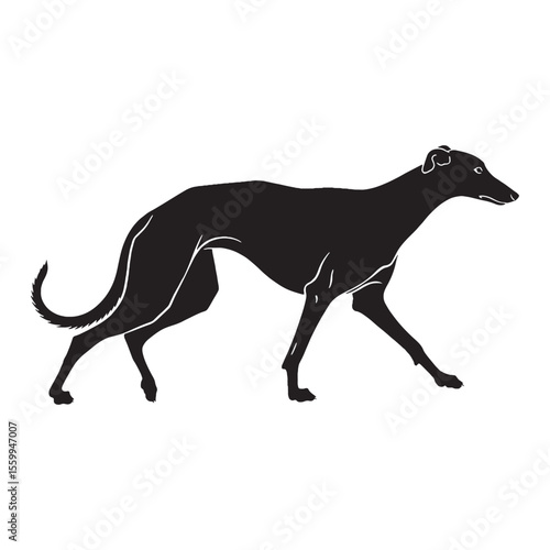 An iconic Greyhound representation, clearly identifying the beloved breed - Greyhound silhouette - Greyhound Vector - Silhouette of Greyhound - dog vector

