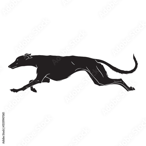 A stunning Greyhound graphic, a high-quality digital asset for creations - Greyhound silhouette - Greyhound Vector - Silhouette of Greyhound - dog silhouette

