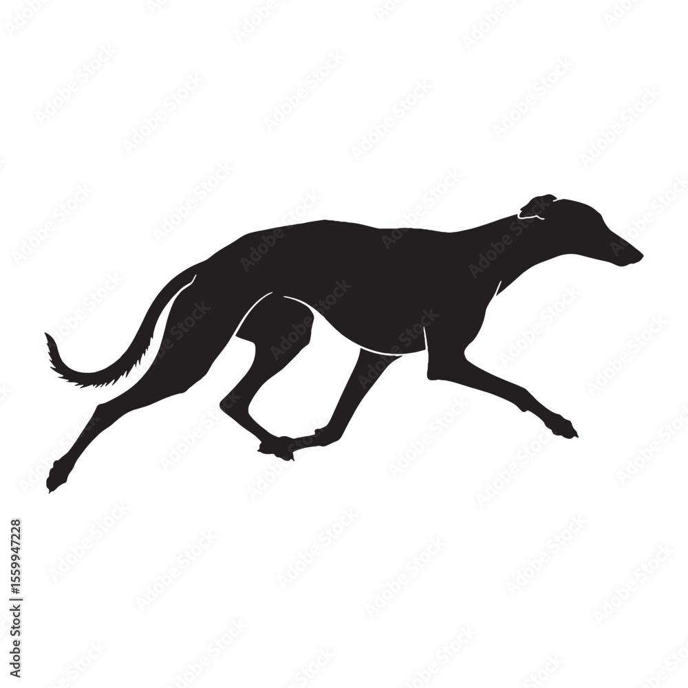 Fototapeta premium Featuring an authentic Greyhound canine visual, accurately representing the breed - Greyhound silhouette - Greyhound Vector - Silhouette of Greyhound - dog vector