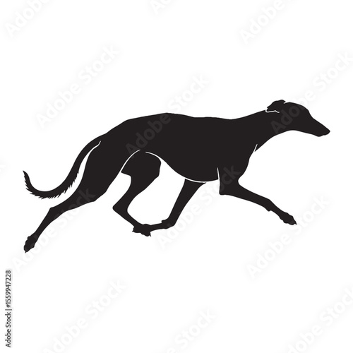 Featuring an authentic Greyhound canine visual, accurately representing the breed - Greyhound silhouette - Greyhound Vector - Silhouette of Greyhound - dog vector


