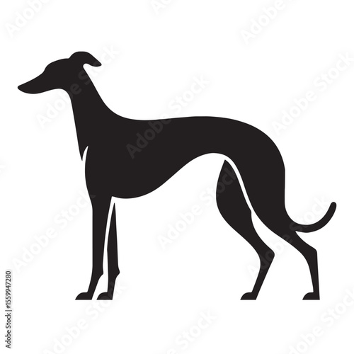 A proud Greyhound figure image, an elegant graphic resource for projects - Greyhound silhouette - Greyhound Vector - Silhouette of Greyhound - dog silhouette

