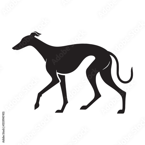 Displaying a distinctive Greyhound dog shape, embodying its unique presence - Greyhound silhouette - Greyhound Vector - Silhouette of Greyhound - dog vector

