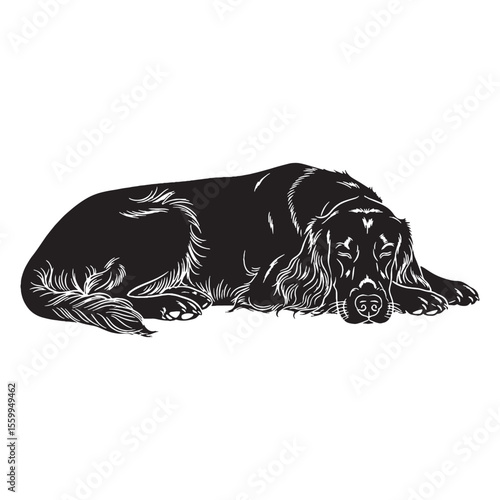 An iconic Irish Setter representation, clearly identifying the beloved breed - Irish Setter silhouette - Irish Setter Vector - Silhouette of Irish Setter - dog vector

