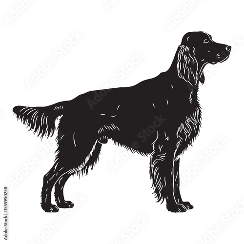 Featuring a handsome Irish Setter canine illustration, showcasing its distinct charm - Irish Setter silhouette - Irish Setter Vector - Silhouette of Irish Setter - dog vector

