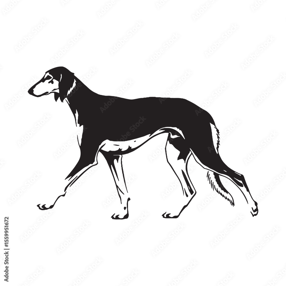 Obraz premium A proud and confident Saluki figure image, providing an elegant graphic resource for any dog-themed project - Saluki silhouette - Saluki Vector - Silhouette of Saluki - dog silhouette