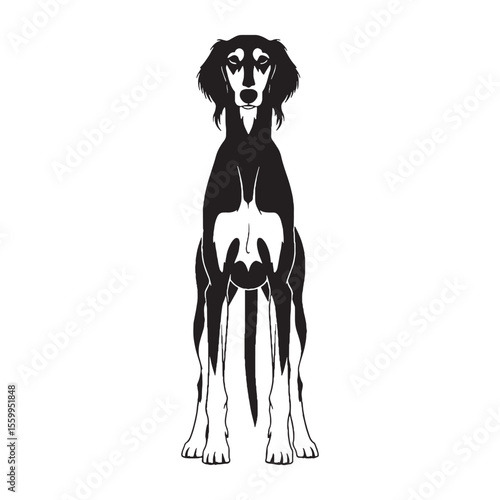 Displaying a regal Saluki dog shape, embodying its noble presence and sophisticated appearance in a simple graphic - Saluki silhouette - Saluki Vector - Silhouette of Saluki - dog vector

