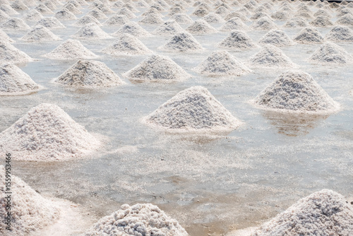 Rows of white salt piles drying in salt fields after seawater evaporation, ideal for content about salt production, traditional agriculture, or natural resource industries.