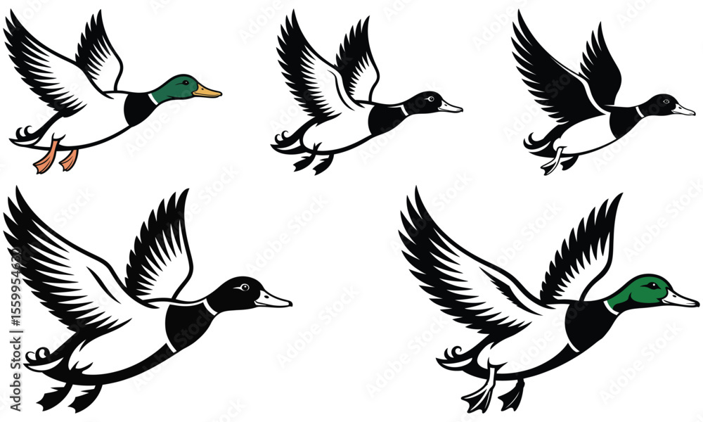 Obraz premium set of birds