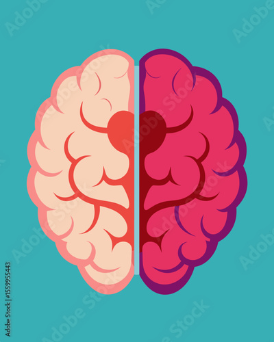 A brain being torn apart into two separate halves depicting the divide created by cognitive dissonance.. Vector illustration