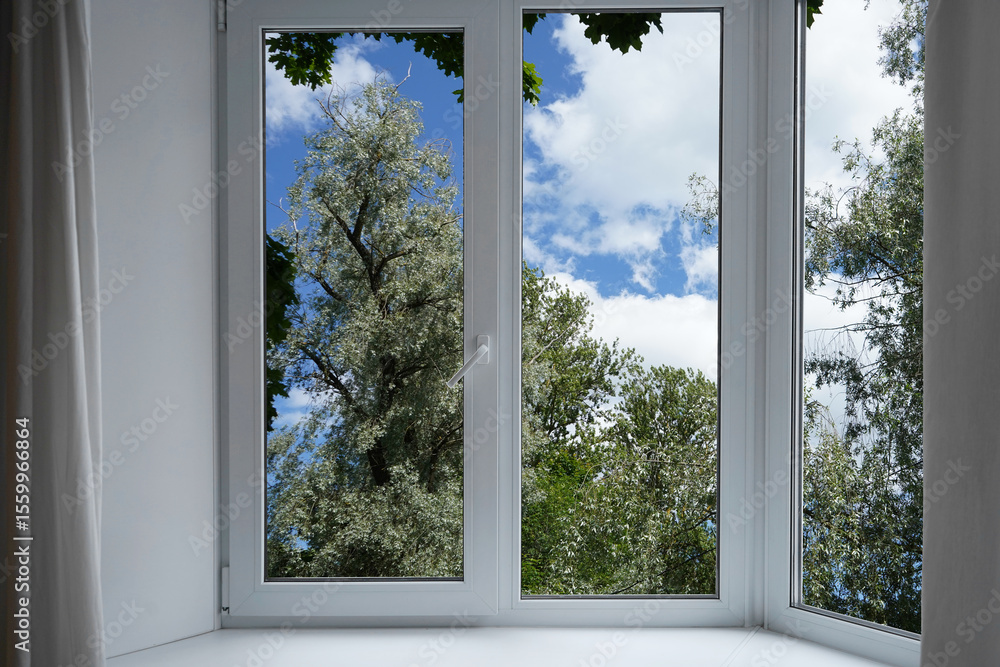 Obraz premium View through a window of a forest, a park with green and silver willow trees. 
