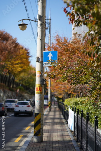 A sidewalk in Seoul under the autumn sky