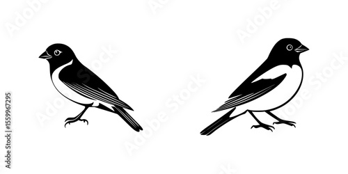 Wallpaper Mural Silhouette pictograms of birds in a minimalistic design showcasing distinctive features and postures suitable for various creative projects Torontodigital.ca