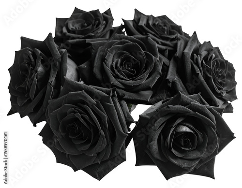 Fototapeta Naklejka Na Ścianę i Meble -  Elegant black roses arranged in a captivating bouquet evoke a sense of mystery and sophistication.