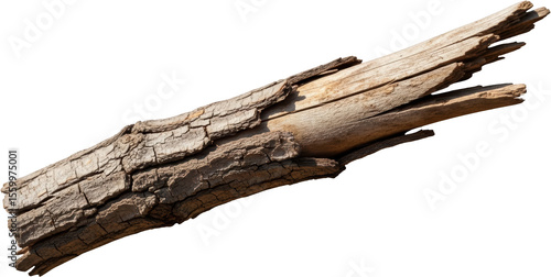 Rough bark texture on a weathered wooden branch with cracks and splits transparent background