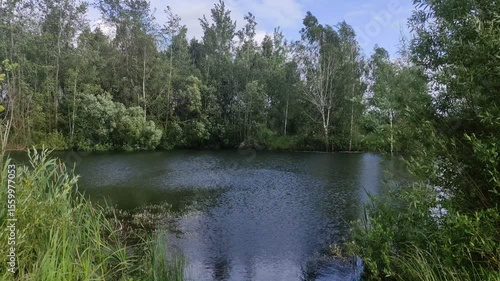 Forest lake at Summer day - European nature landscape