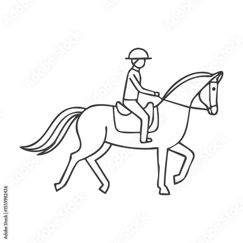 horse and rider