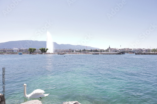 View of Lake Geneva, Switzerland. Many moored sailing boats of the harbors Quai Gustave Ador and Port-Noir are seen in the background.