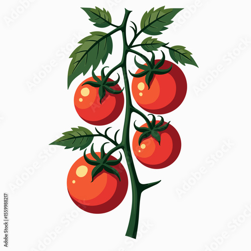 Illustration of a Tomato Plant with Ripe Red Tomatoes and Green Leaves on a White Background