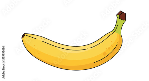 The Nutritional Powerhouse of the Banana Exploring Its Health Benefits and Uses