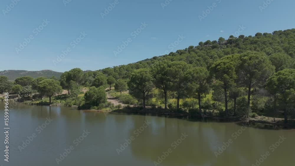Semi-orbital drone shot sweeping left over a green lagoon with reflections, ending near the pine trees on the shore. Peaceful and scenic springtime nature scene in the countryside of Spain. Semi-orbital drone shot sweeping left over a green lagoon with reflections, ending near the pine trees on the shore. Peaceful and scenic springtime nature scene in the countryside of Spain.
