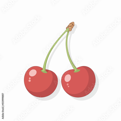 Two cherries on stem present pair of cherries with bright red color and juicy texture. Pair of cherries offer sweet, tart flavor, vibrant hue, and perfect balance.