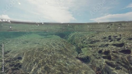 Underwater life in a natural pool near the beach